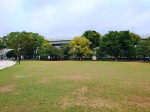 芝生広場一部養生のお知らせ（5/12～6月下旬）