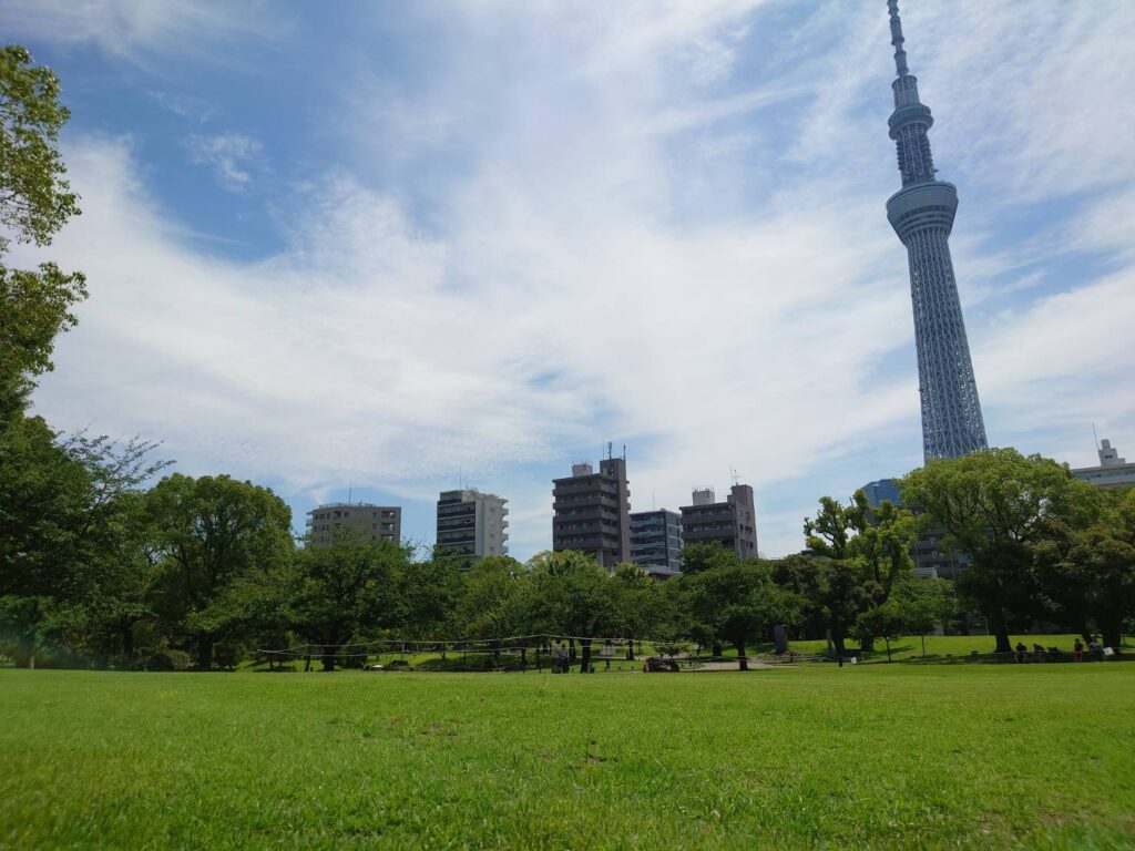 芝生広場開放のお知らせ