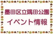 【隅田公園 11月イベント情報】*10/12更新