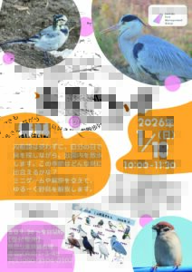 【イベント情報】1月18日（日）鳥見さんぽを開催！